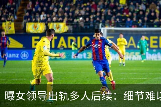 曝女领导出轨多人后续：细节难以入眼，难怪前夫哥哥选择鱼死网破